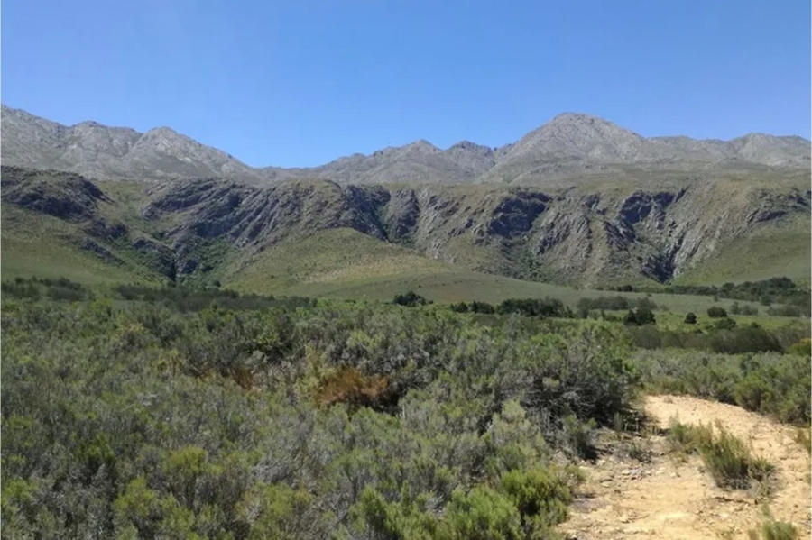 0 Bedroom Property for Sale in Oudtshoorn Rural Western Cape